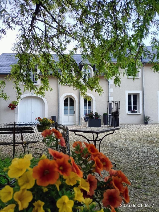 Villa Esperanza Chambre De Plain-Pied, Independante, Proche Zoo De Beauval Et Chateaux De La Loire Valençay Kültér fotó
